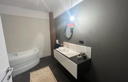 Apartament 2 camere, modern/lux, 45 mp, zona Teilor