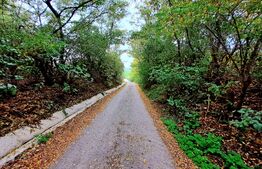 Teren intravilan, 1400mp, situat in satul Gheorgheni