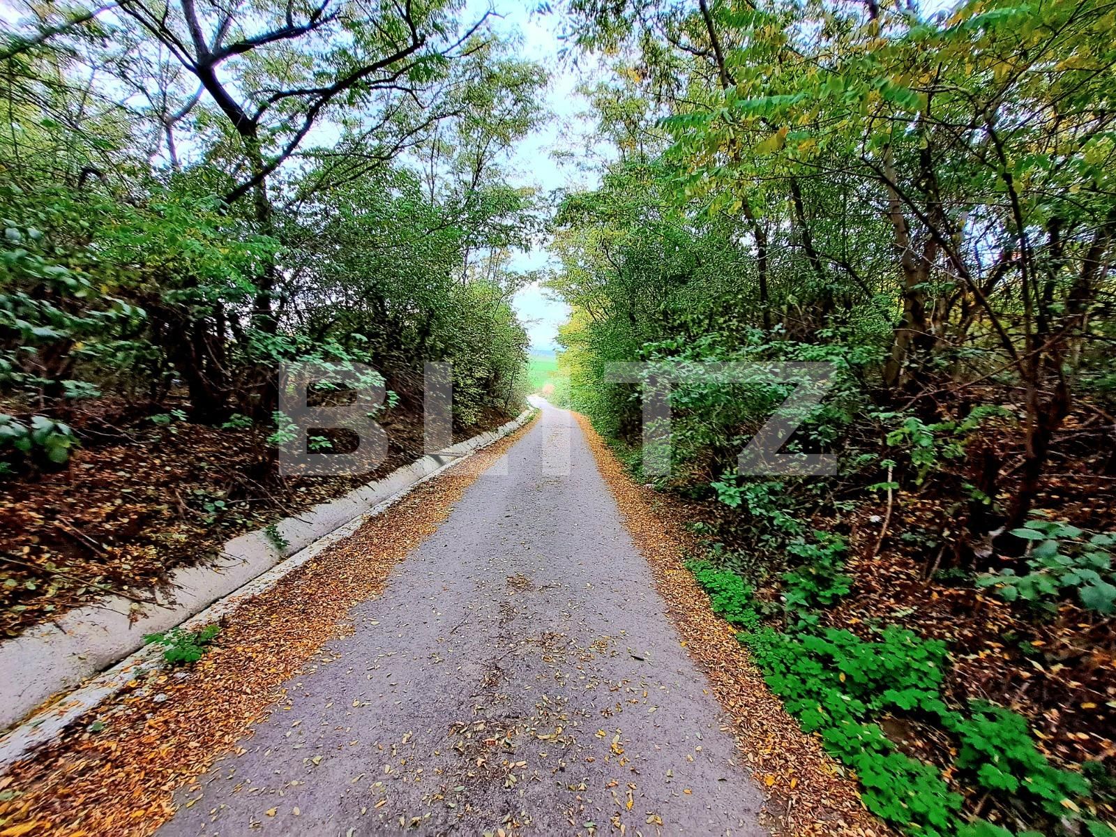 Teren de vânzare Gheorghieni Sat - 100464TV | BLITZ Cluj-Napoca | Poza2