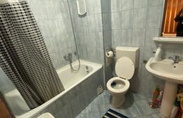 Garsoniera de 32mp, decomandata,parcare in curtea blocului,pet friendly, Zona zona Piata 1 Mai