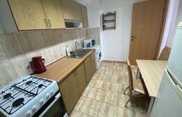 Garsoniera de 32mp, decomandata,parcare in curtea blocului,pet friendly, Zona zona Piata 1 Mai
