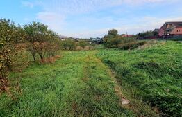 Teren extravilan, 1410 mp, situat pe Valea Chintaului 