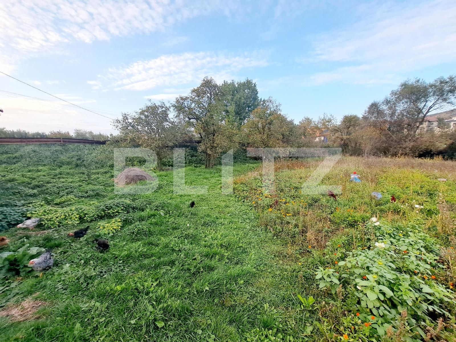 Teren de vânzare Iris - 100482TV | BLITZ Cluj-Napoca | Poza3