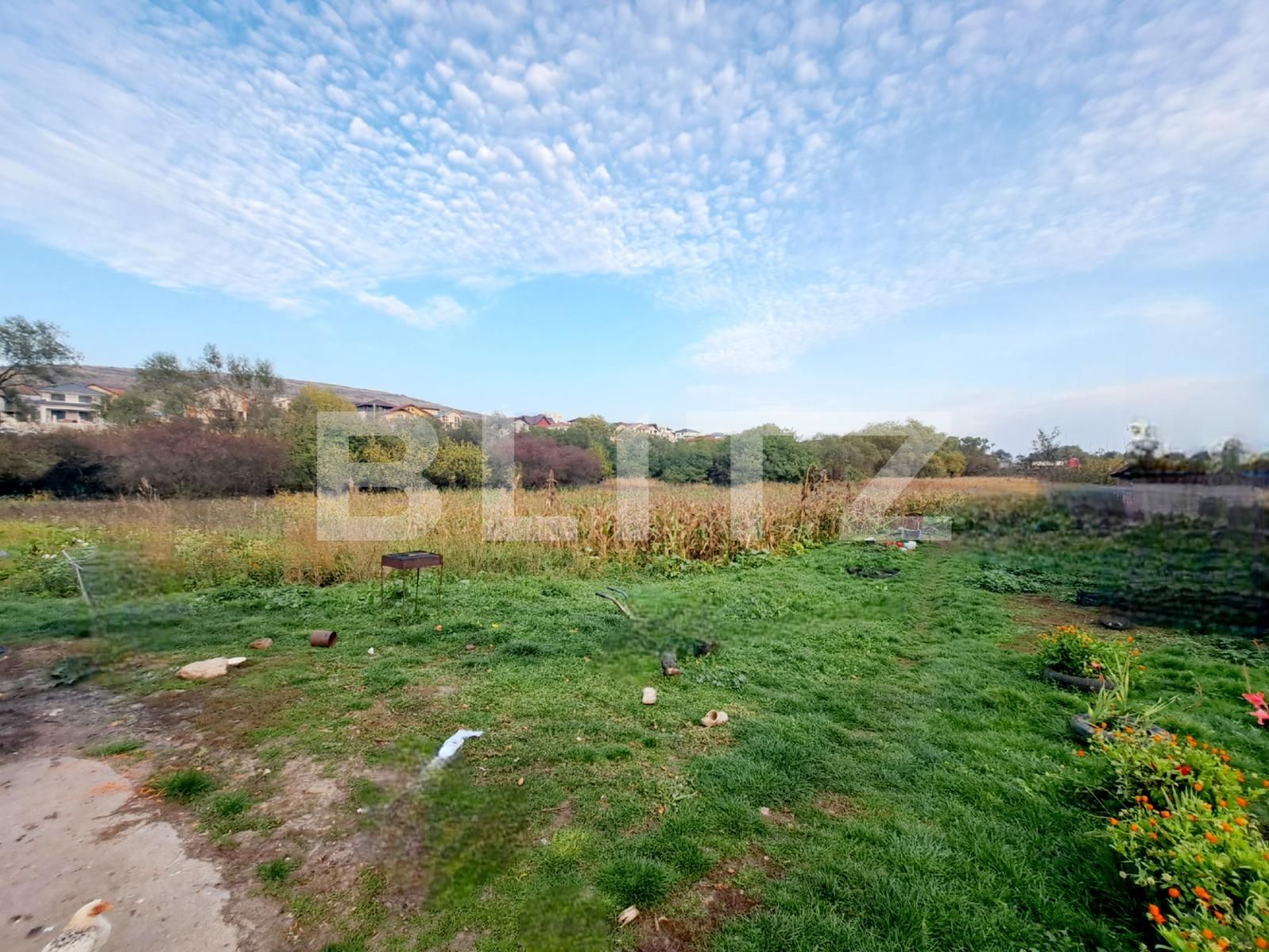 Teren de vânzare Iris - 100482TV | BLITZ Cluj-Napoca | Poza2