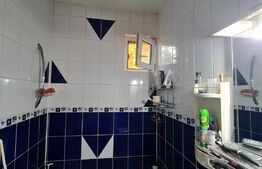 Casa individuala, piscina, pivnita, 600 mp de teren, zona Avram Iancu