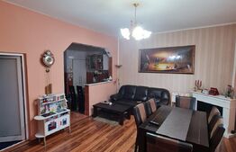 Casa individuala, piscina, pivnita, 600 mp de teren, zona Avram Iancu