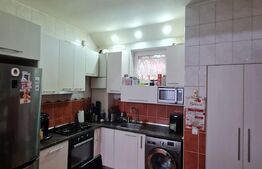 Casa individuala, piscina, pivnita, 600 mp de teren, zona Avram Iancu