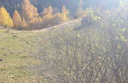 Oportunitate! Teren intravilan de 9.300 mp, Moieciu - Magura