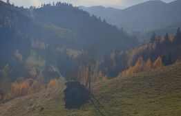 Oportunitate! Teren intravilan de 9.300 mp, Moieciu - Magura