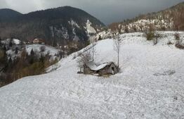 Oportunitate! Teren intravilan de 9.300 mp, Moieciu - Magura