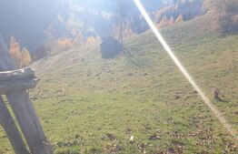 Oportunitate! Teren intravilan de 9.300 mp, Moieciu - Magura