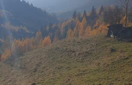 Oportunitate! Teren intravilan de 9.300 mp, Moieciu - Magura