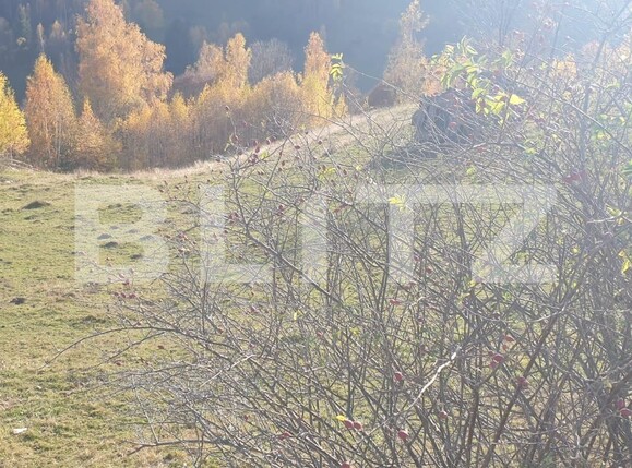 Teren de vânzare Moieciu - 100631TV | BLITZ Brașov | Poza6