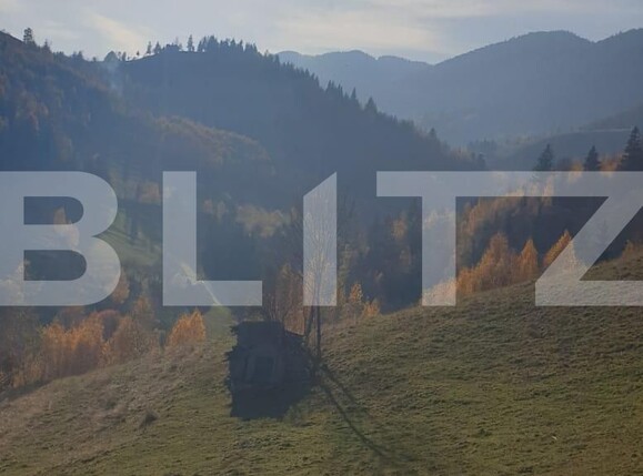Teren de vânzare Moieciu - 100631TV | BLITZ Brașov | Poza5