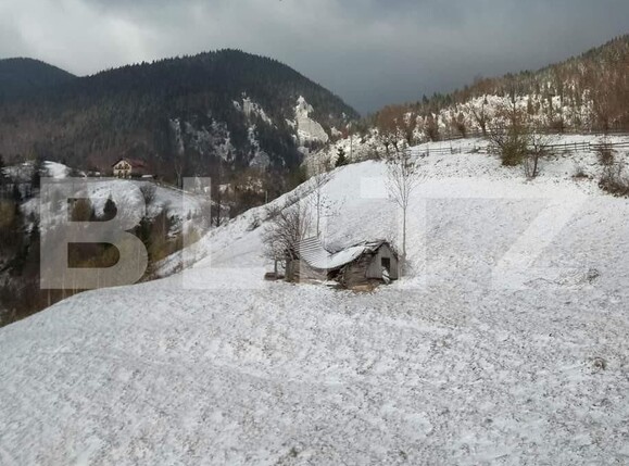 Teren de vânzare Moieciu - 100631TV | BLITZ Brașov | Poza1