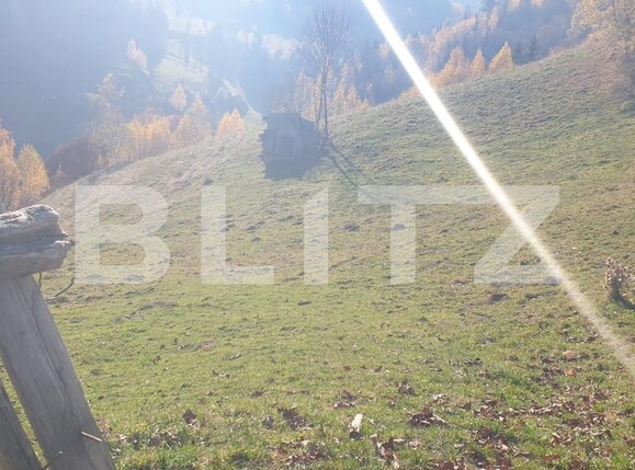 Teren de vânzare Moieciu - 100631TV | BLITZ Brașov | Poza3