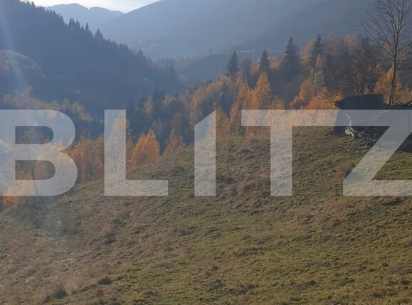 Teren de vânzare Moieciu - 100631TV | BLITZ Brașov | Poza2