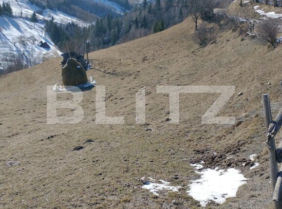 Teren de vânzare Moieciu - 100631TV | BLITZ Brașov | Poza8