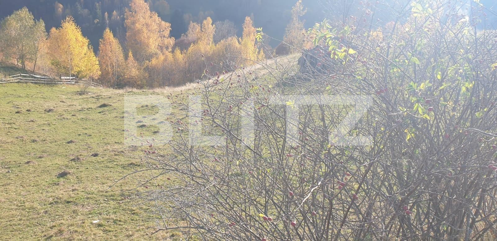 Teren de vânzare Moieciu - 100631TV | BLITZ Brașov | Poza6