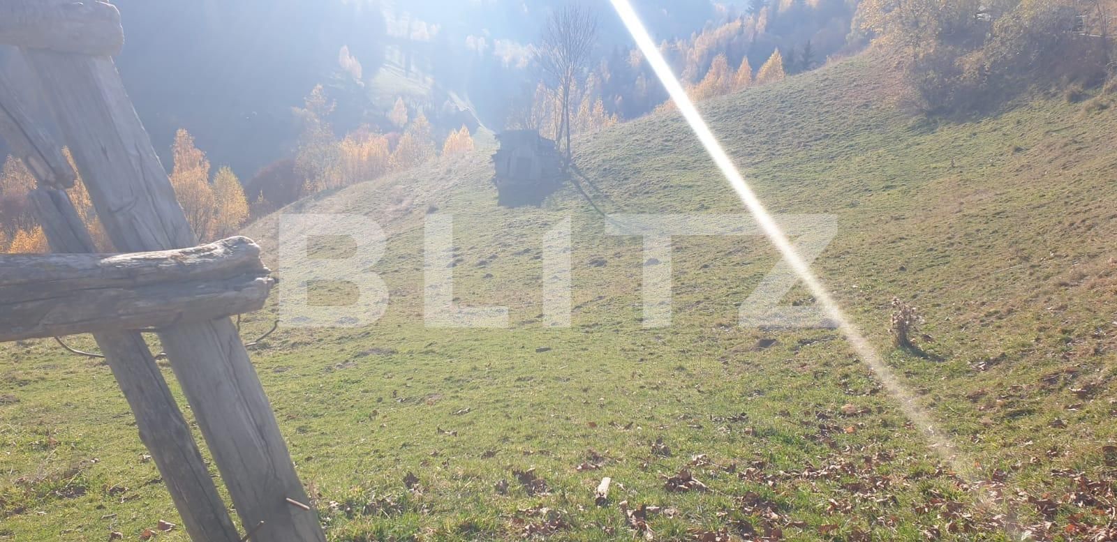 Teren de vânzare Moieciu - 100631TV | BLITZ Brașov | Poza3