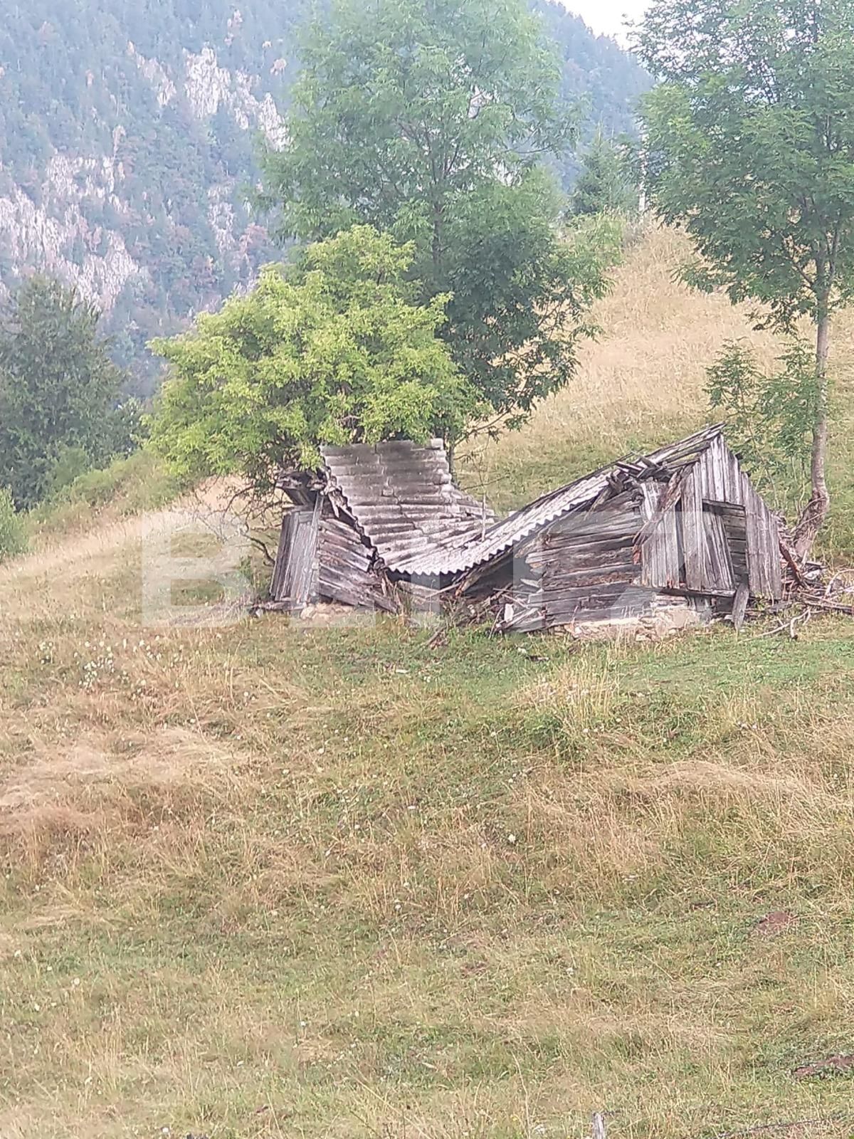 Teren de vânzare Moieciu - 100631TV | BLITZ Brașov | Poza7
