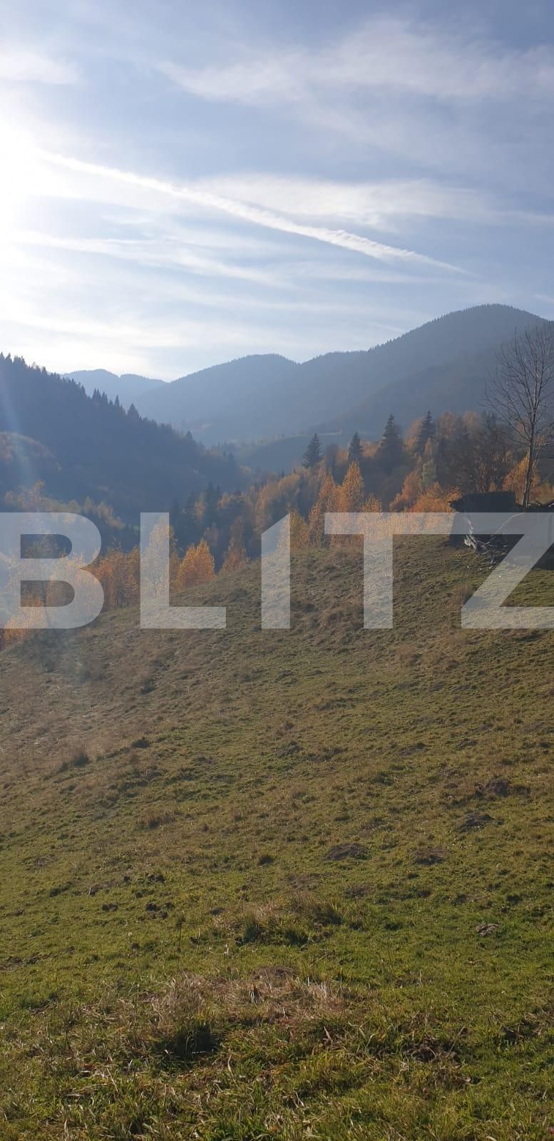 Teren de vânzare Moieciu - 100631TV | BLITZ Brașov | Poza2