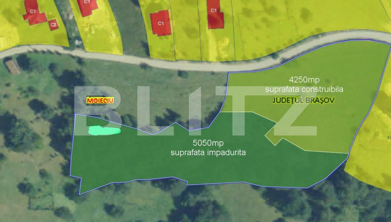 Teren de vânzare Moieciu - 100631TV | BLITZ Brașov | Poza1