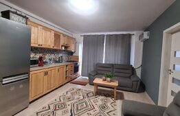 Apartament cochet, 3 camere, 57 mp, zona Stejarului 