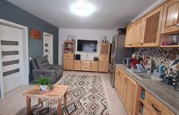 Apartament cochet, 3 camere, 57 mp, zona Stejarului 