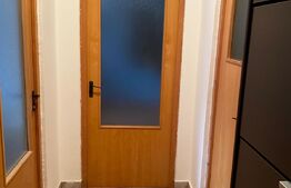 Apartament cu 1 camera, 40 mp, zona Mehedinti