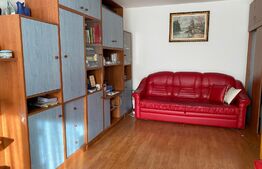 Apartament cu 1 camera, 40 mp, zona Mehedinti