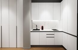 Investiție! Apartament 30 mp, finisat, tavan înalt, Piața Avram Iancu