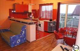 De inchiriat apartament cu 2 camere, 60 mp, mobilat modern, zona Calea Turzii