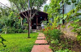 Casa individuala 330 mp, 558 mp teren, Someseni