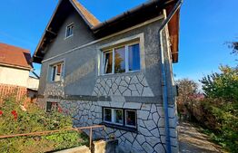 Casa individuala 170 mp, suprafata teren 526 mp, Dambul Rotund