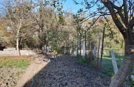 Casa individuala 90 mp, 540 mp teren,zona linistita,Turda