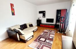 Apartament in vila, 2 camere, 50 mp, zona Somesului 