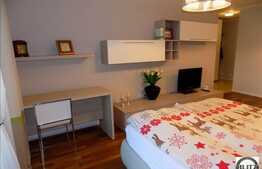 1 camera , 44 mp , imobil nou, mobilat lux , complex Platinia, Dorobantilor!