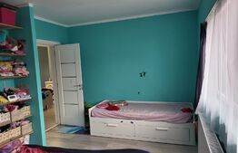 Duplex mobilat si utilat, 136 mp, 343 mp, panouri fotovoltaice, teren in zona Tineretului 