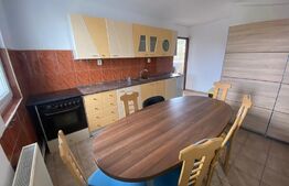 Apartament 3 camere, 70 mp, terasa 200 mp,pet friendly, zona Gradinii Botanice