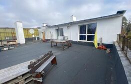 Apartament 3 camere, 70 mp, terasa 200 mp,pet friendly, zona Gradinii Botanice