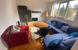 Apartament 3 camere, 70 mp, terasa 200 mp,pet friendly, zona Gradinii Botanice