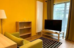 Apartament 2 camere, parcare, gradina, zona strazii Henri Barbusse