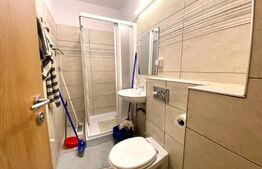 Apartament 2 camere, parcare, gradina, zona strazii Henri Barbusse