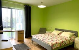 Apartament 2 camere, parcare, gradina, zona strazii Henri Barbusse