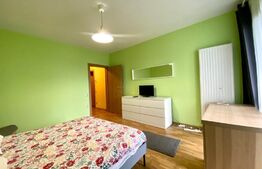 Apartament 2 camere, parcare, gradina, zona strazii Henri Barbusse