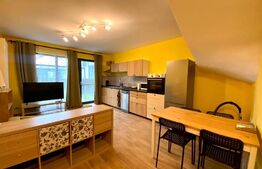 Apartament 2 camere, parcare, gradina, zona strazii Henri Barbusse