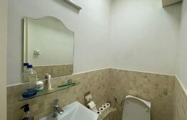 Spatiu de birou, 230 mp, clădire istorică, zona străzii Ferdinand 