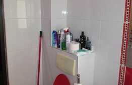 De vanzare 2 camere, 55 mp, decomandat, loc de parcare, zona Florilor!