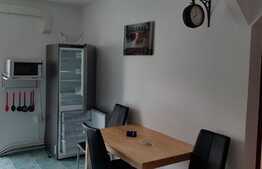 Apartament 2 camere, decomandat, 50 mp utili, zona strazii Primaverii